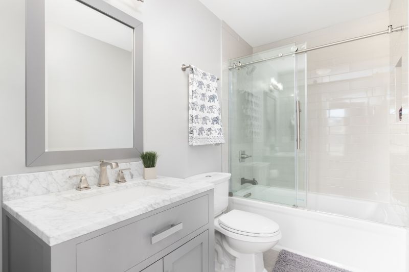 Bathtub To Shower Conversion