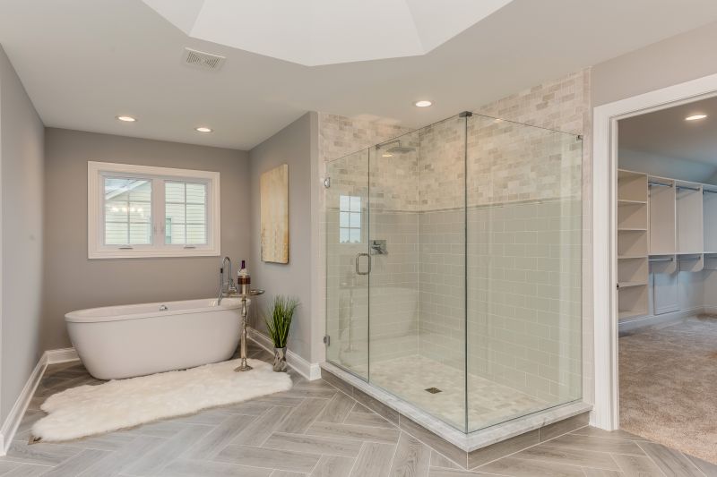 Bathtub To Shower Conversion